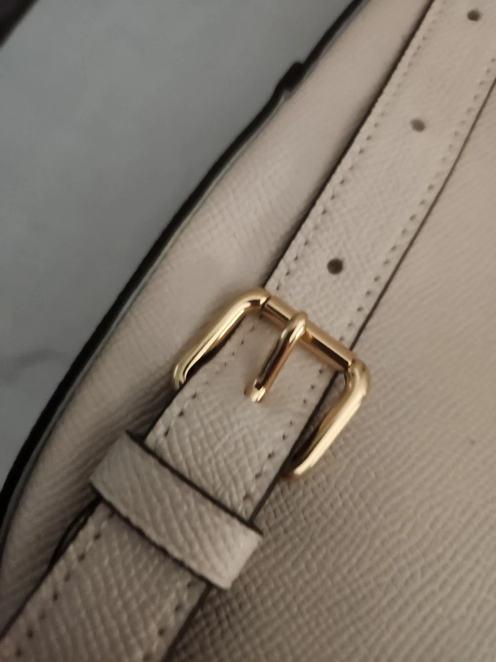 Coach elegant backpack
